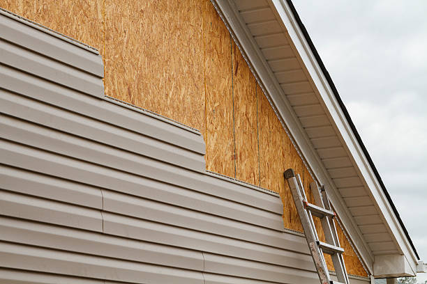 Best Steel Siding Installation  in Woodland Park, NE